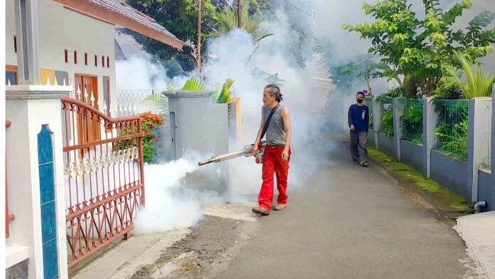 5 Warga Kota Banjar Terserang DBD