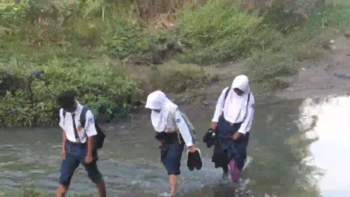 Butuh Jembatan, Siswa SMPN 4 Pamarican Ciamis Seberangi Sungai untuk Sampai ke Sekolah