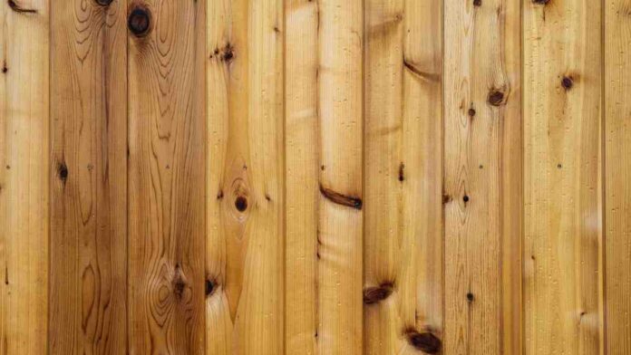 Cara Mengecat Dinding Kayu Agar Lebih Indah dan Awet