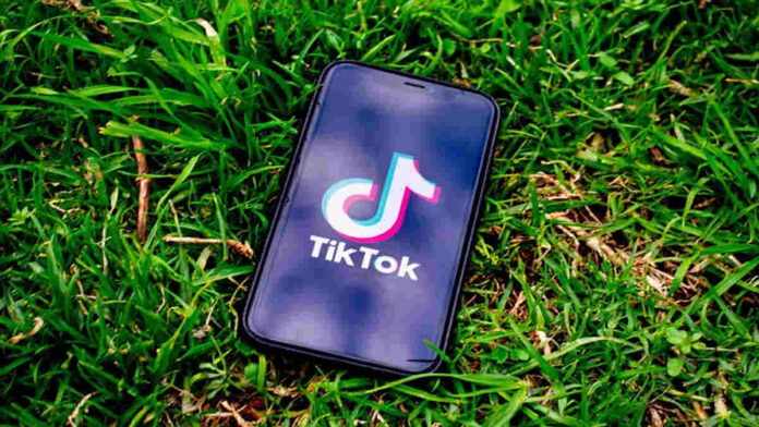 Cara Report Akun TikTok Agar Scrolling Tetap Nyaman dan Aman