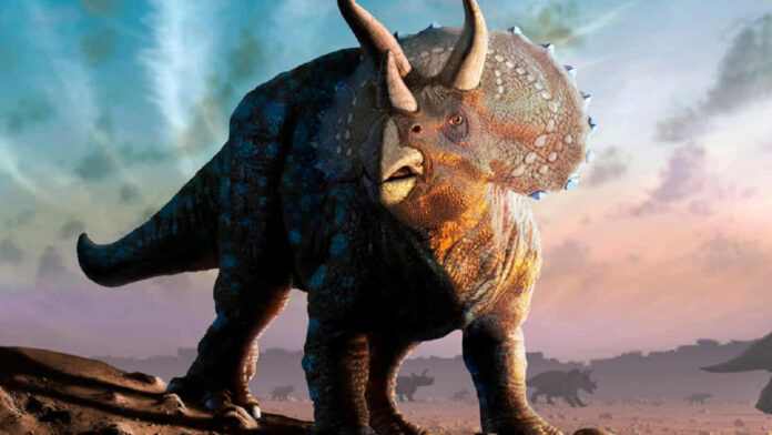 Dinosaurus yang Mirip Triceratops, Herbivora dan Bertanduk
