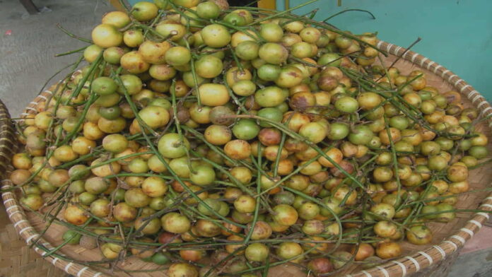 Manfaat Buah Jentik, Mengandung Sumber Nutrisi Penting