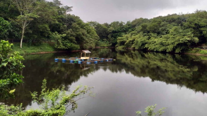 Situ Leutik Kota Banjar untuk Embung Tadah Hujan