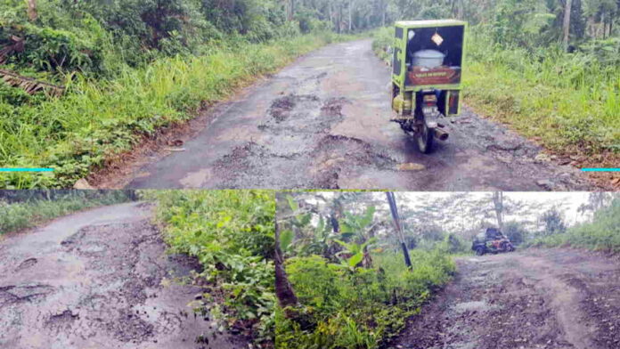 Alat Berat Proyek Rusak Jalan di Mandalamekar Tasikmalaya