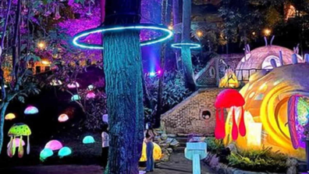 Hutan Mycelia Lembang, Spot Wisata Edukasi Unik di Malam Hari
