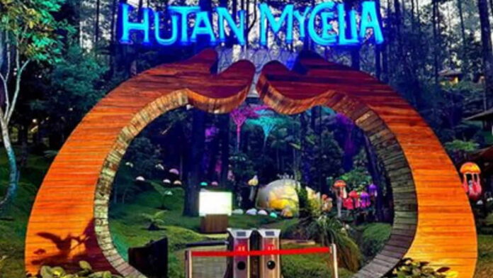 Hutan Mycelia Lembang, Spot Wisata Edukasi Unik di Malam Hari