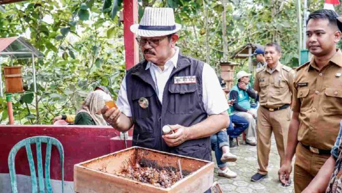 Kampung Madu Banjaranyar Ciamis