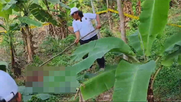 Mayat Membusuk Tanpa Identitas Ditemukan di Kebun Warga Garut