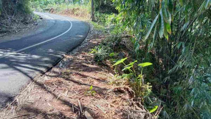 Pembatas Jalan