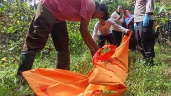 tengkorak di hutan Tasikmalaya