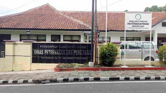 Target Produksi Ikan Tahun 2024 Sebanyak 26