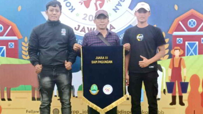 Kontes Ternak Tingkat Provinsi
