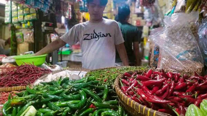 harga cabai rawit merah