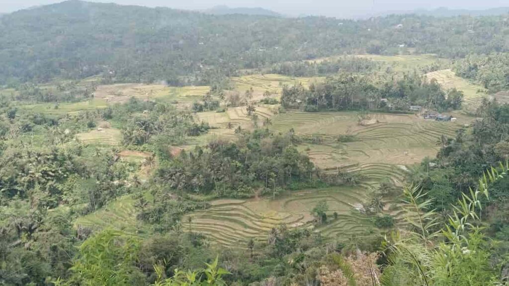 Bukit Nalangsa Pangandaran