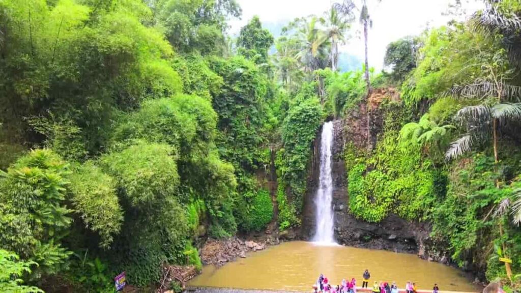 Curug Bangkong Kuningan, Pemandangan Asri dan Menyegarkan