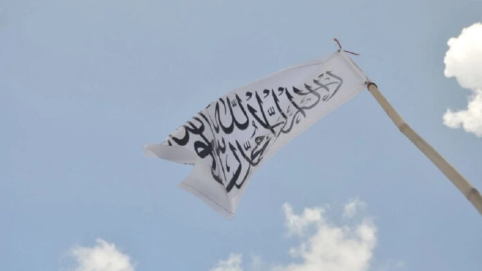 Habib bin Zaid, Pemegang Bendera Perang yang Cinta Rasulullah