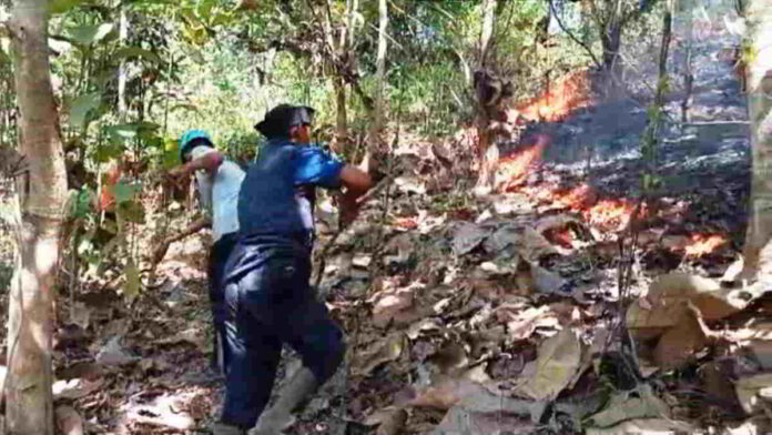 Lahan di Kawasan Gunung Sangkur