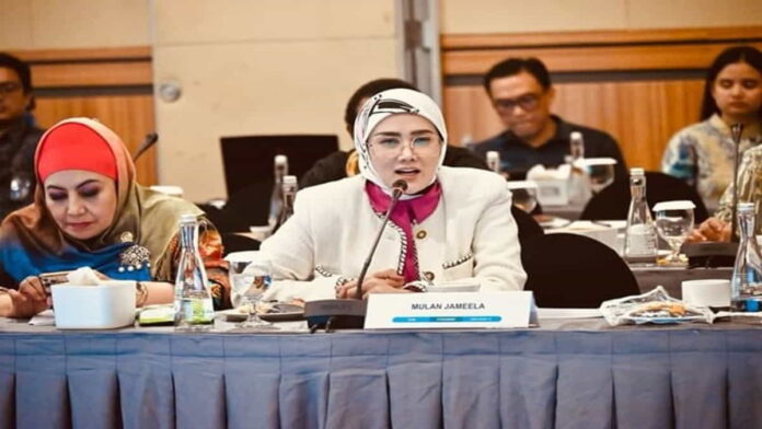 KDRT Cut Intan Nabila