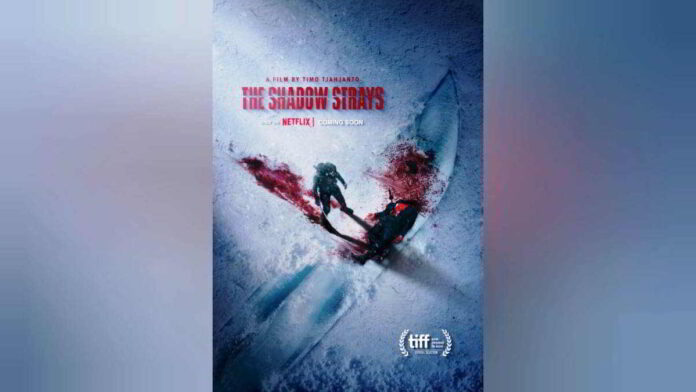 The Shadow Strays