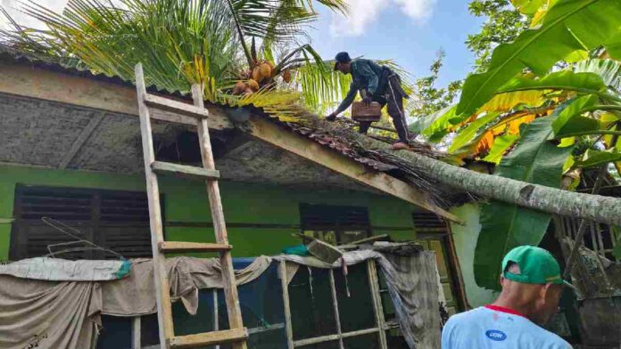 Pohon Kelapa Tumbang Timpa Rumah Warga di Sidaharja Ciamis