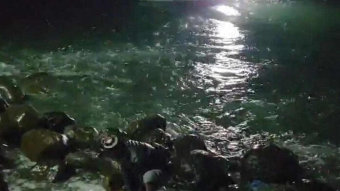 Ikan naik ke darat