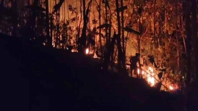 Lahan warga terbakar