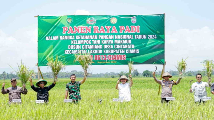 Panen Raya Padi di Lakbok, Ini Pesan Pj Bupati Ciamis