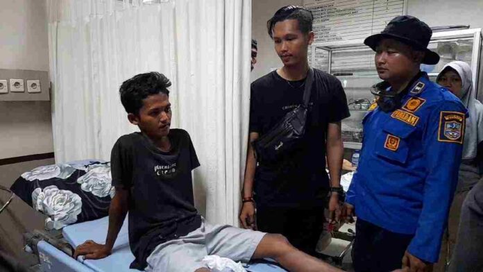Bisa ular king kobra