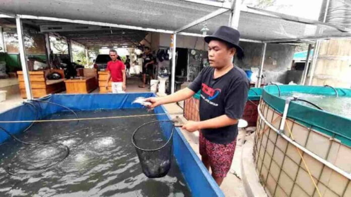 Kebutuhan Ikan di Kota Banjar Capai 7000 Ton