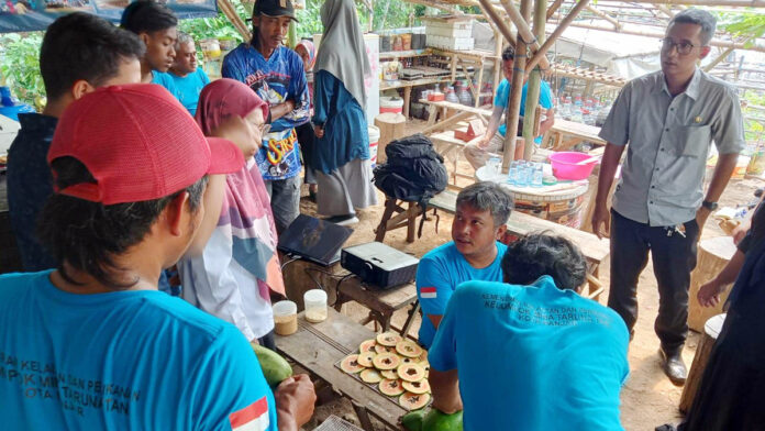 Mengenal Suzi Papa Ikan, Inovasi Pegawai DKP3 Kota Banjar Juara 2 Kibar Awards