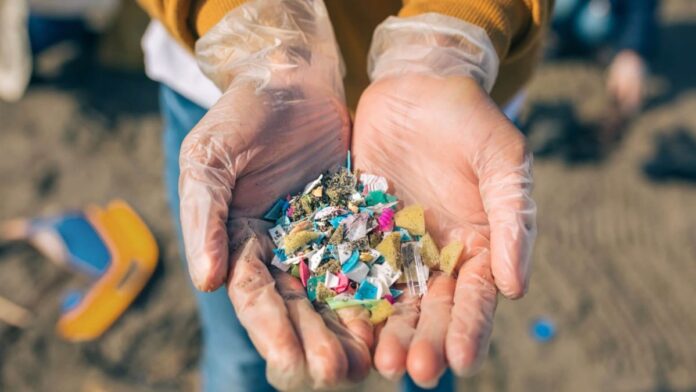 Mikroplastik Primer dan Sekunder, Ancaman Bagi Lingkungan