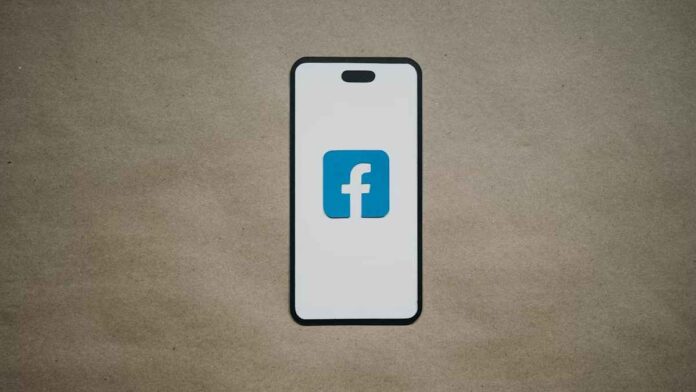 Nomor registrasi PPN GST Facebook, Penting Bagi Pengusaha