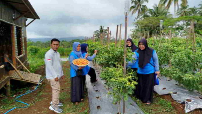 Panen Perdana Sayuran dan Buah-buahan