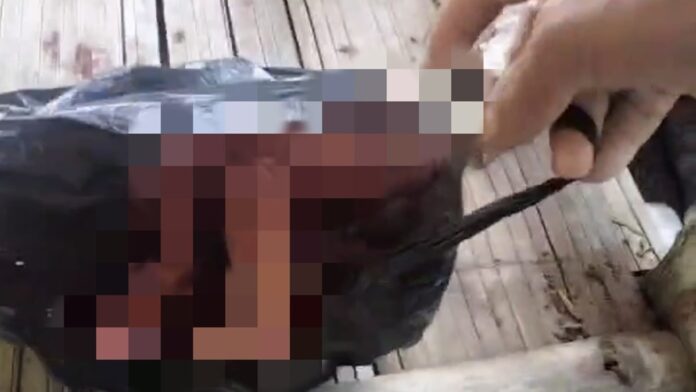 Bayi laki-laki terbungkus plastik kresek ditemukan di saung Tasikmalaya