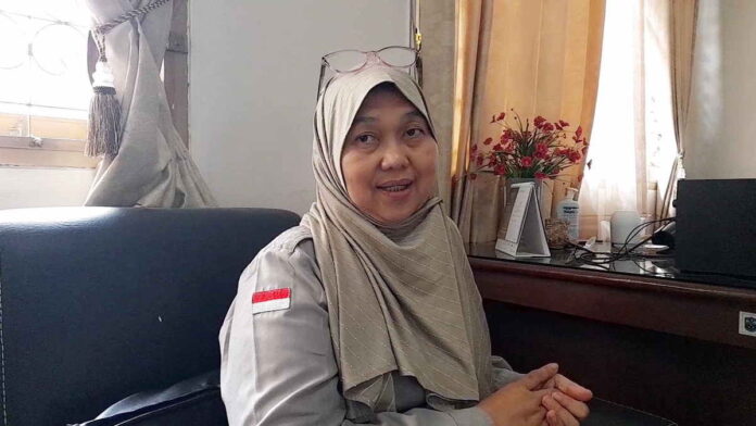 Dinkes Kota Banjar Imbau Masyarakat Waspada Penyakit DBD