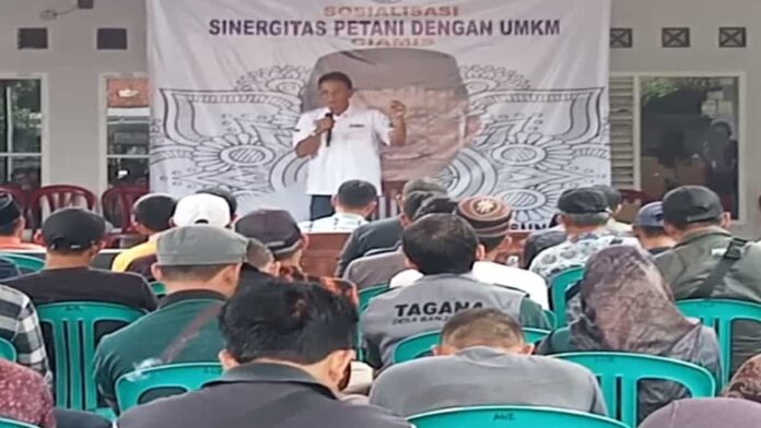 Swasembada pangan di Ciamis