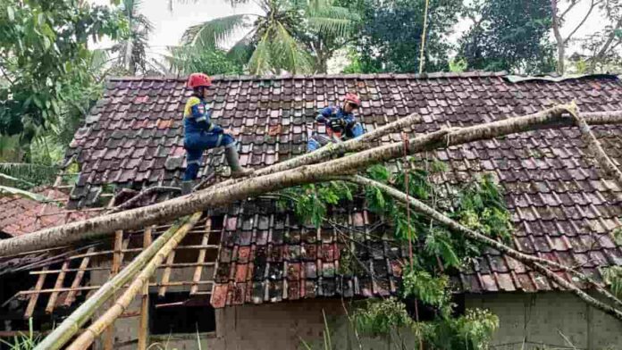Hujan Angin