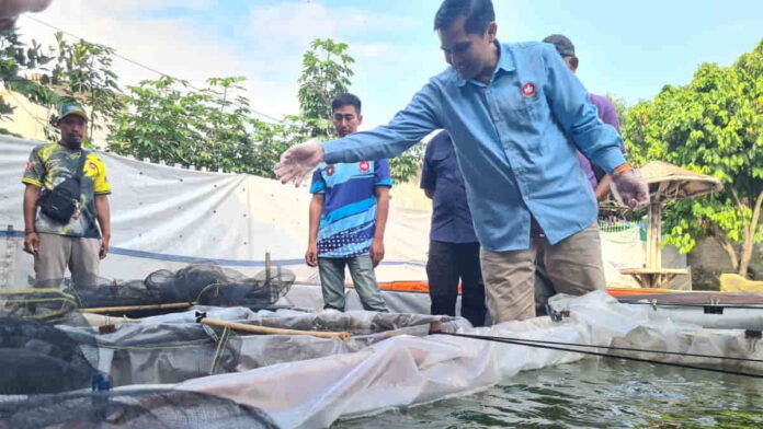 ketahanan pangan kabupaten bandung