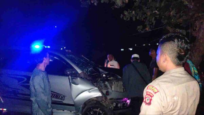 Minibus tabrak pohon