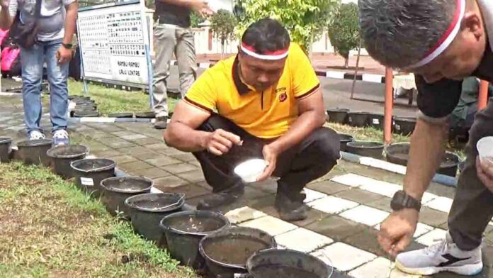 Pekarangan pangan bergizi