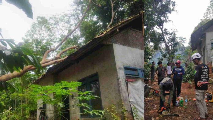 Pohon Petai Besar Tumbang dan Timpa Rumah di Kutawaringin Ciamis