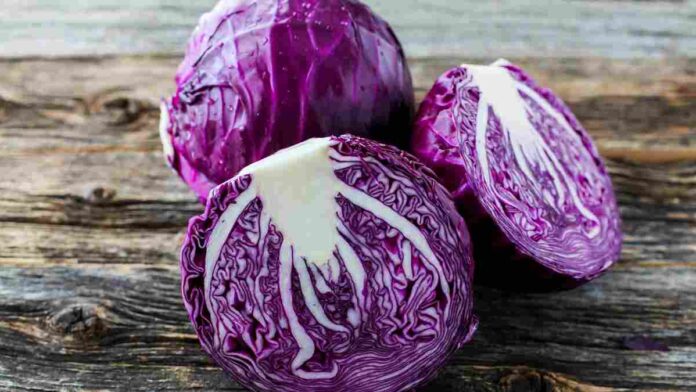 Tanaman dengan Kandungan Flavonoid Tertinggi