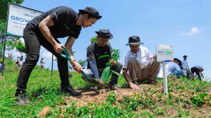 Upaya memulihkan hutan bekas tambang di Bogor