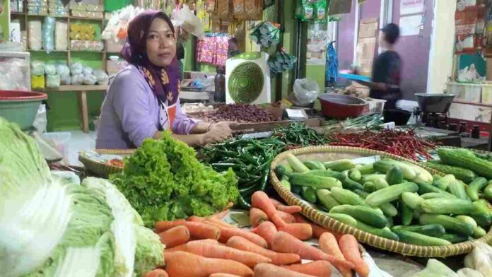 Harga cabai telur