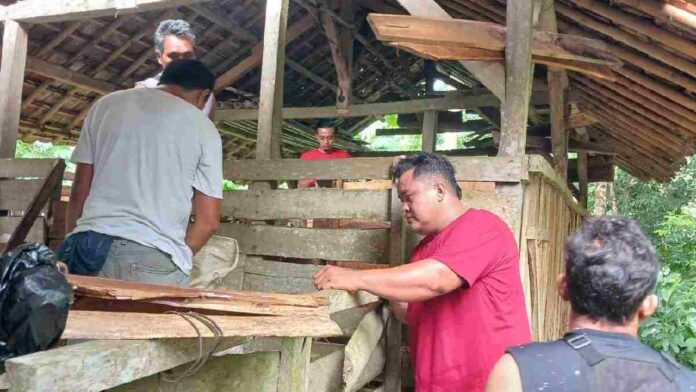 Kambing dicuri