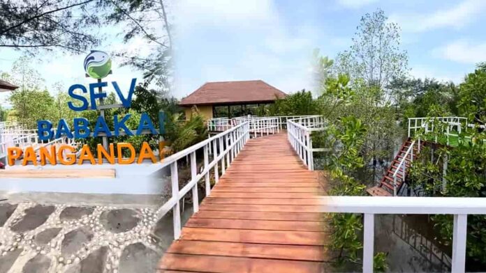 Taman Mangrove Babakan Pangandaran