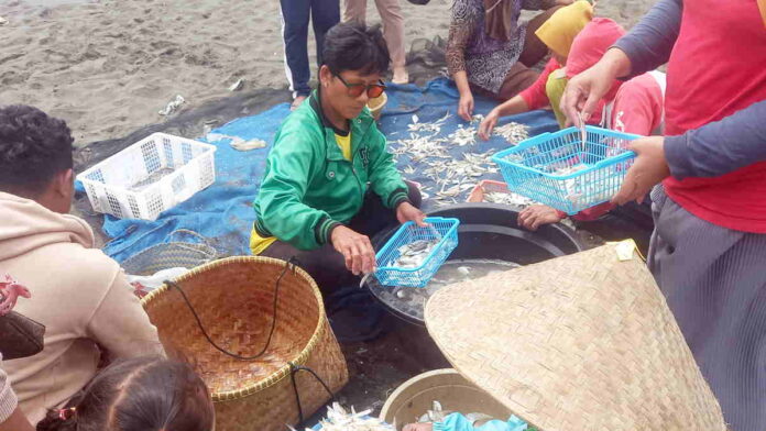 Pangandaran Dapat Rp 1,86 Miliar dari Hasil Tangkapan Ikan