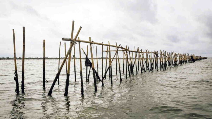 Penerbitan Sertifikat Pagar Laut Tangerang Bukan Kewenangan Menteri ATR