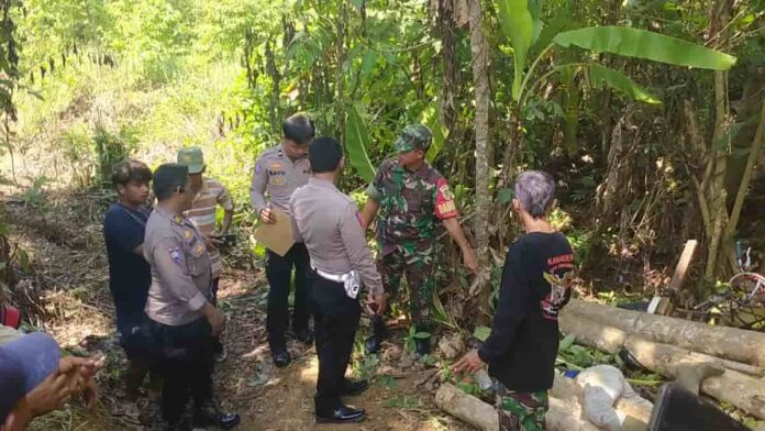 Pengangkut kayu tewas terjepit gelondongan kayu di Ciamis