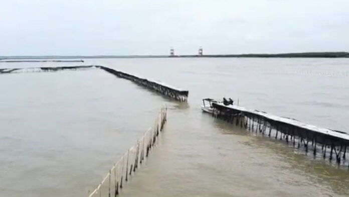 Polemik Pembongkaran Pagar Laut di Tangerang